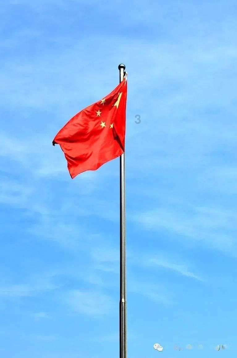 数码宝贝究极对决